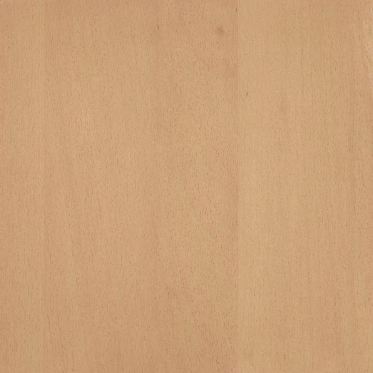 Beech