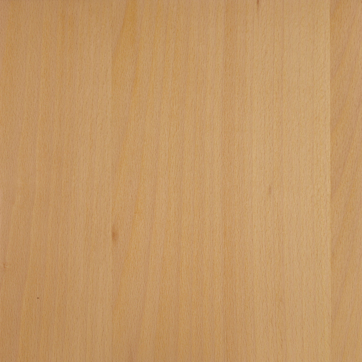 Beech